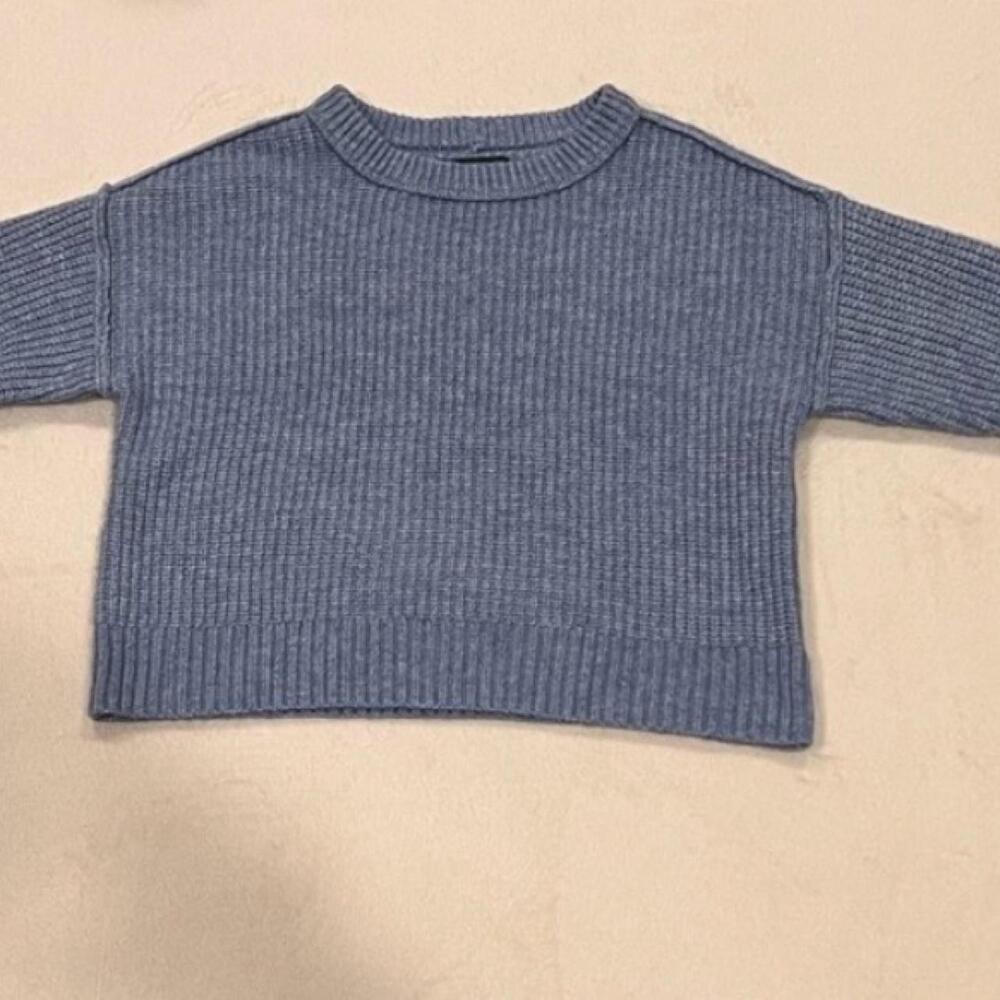 Blue American eagle sweater